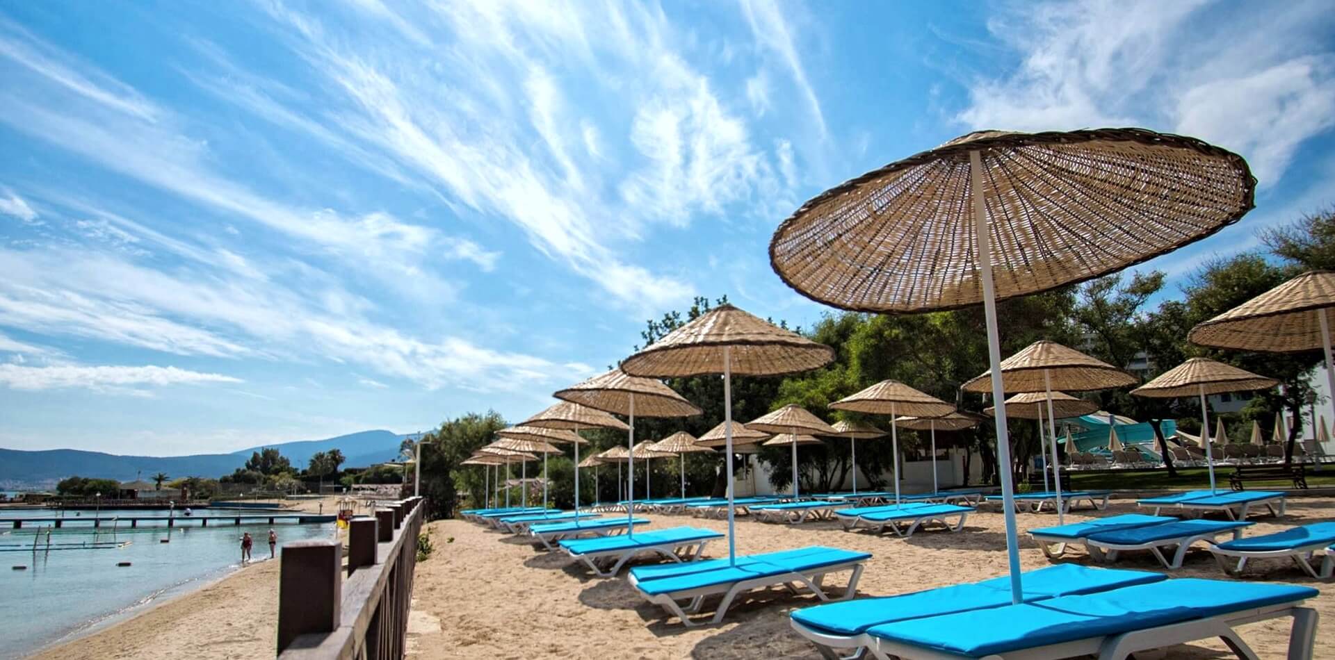 Климат Дидим